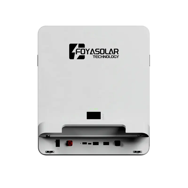 Wall Mounted LiFePO4 Battery.jpg