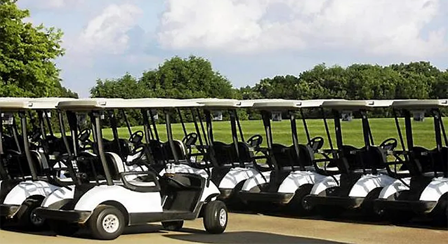 Battery  for Golf Cart